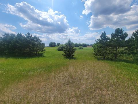 M-66, Mendon, MI 49072