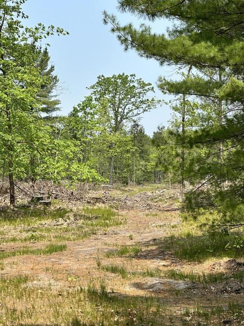 8318 E Koenig Rd, Irons, MI 49644 photo 6
