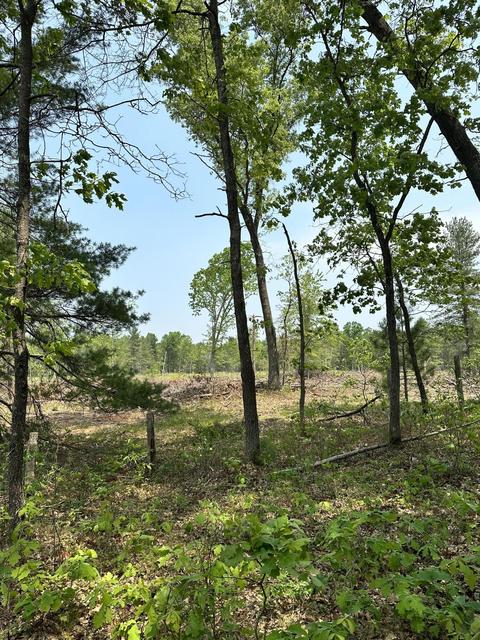 8318 E Koenig Rd, Irons, MI 49644 photo 4