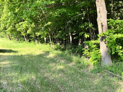 V/l N Federal Rd, Howard City, MI 49329