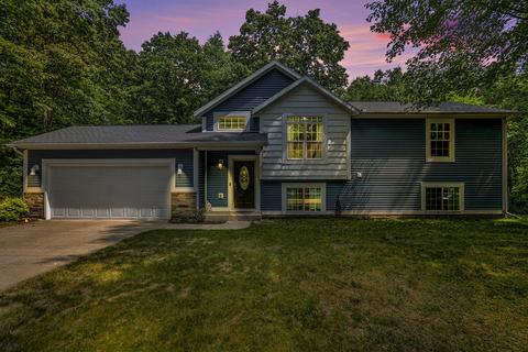 25112 Chaty Ln, Gobles, MI 49055