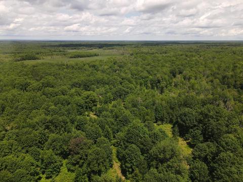 Pinconning Road, Beaverton, MI 48612