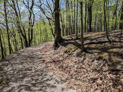 V/l Upper Ridge Road #6, Montague, MI 49437