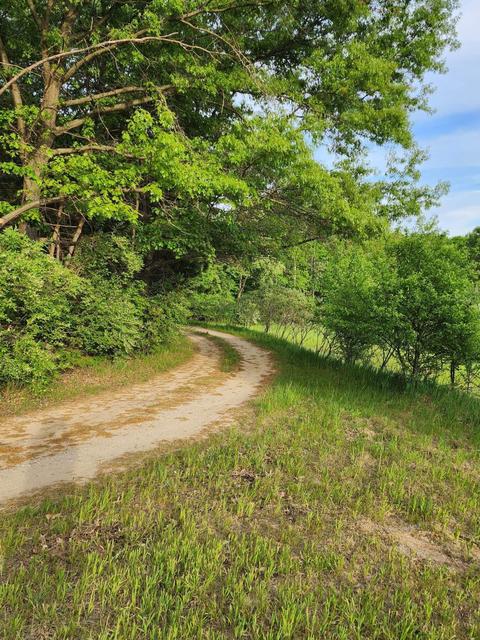 3775 Evergreen Rd SE, Stanton, MI 48888 photo 16
