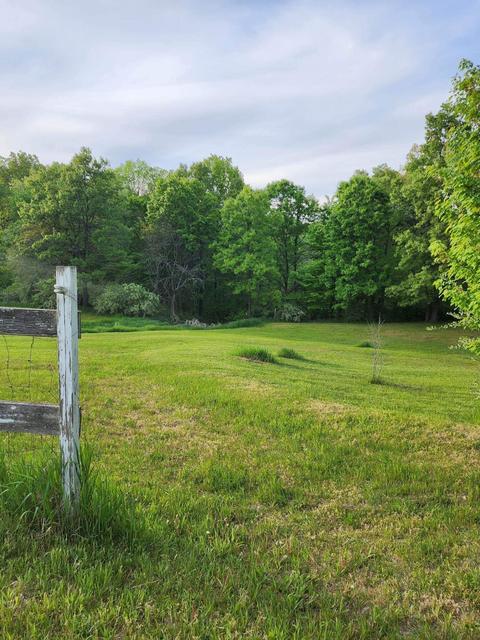 3775 Evergreen Rd SE, Stanton, MI 48888 photo 12