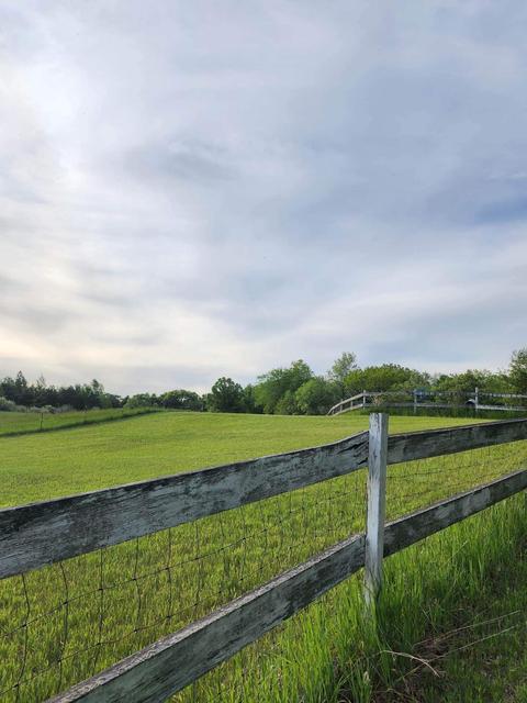 3775 Evergreen Rd SE, Stanton, MI 48888 photo 13