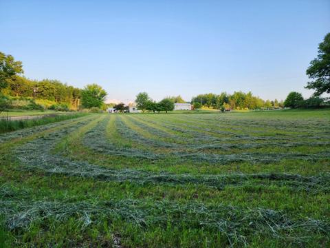 3775 Evergreen Rd SE, Stanton, MI 48888 photo 17