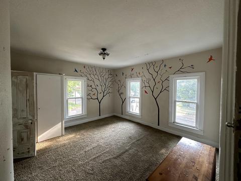 105 E Read St, Marcellus, MI 49067 photo 14