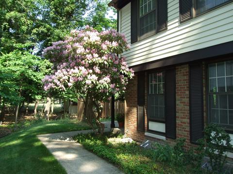 3633 Brentwood St, Norton Shores, MI 49441