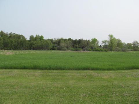 0 Hemlock St, Mcbain, MI 49657 photo 7