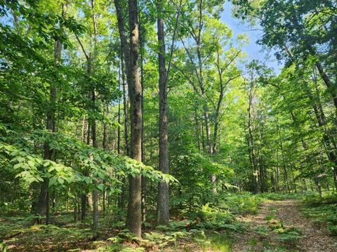 V/l W Lakewood Road, Whitehall, MI 49461