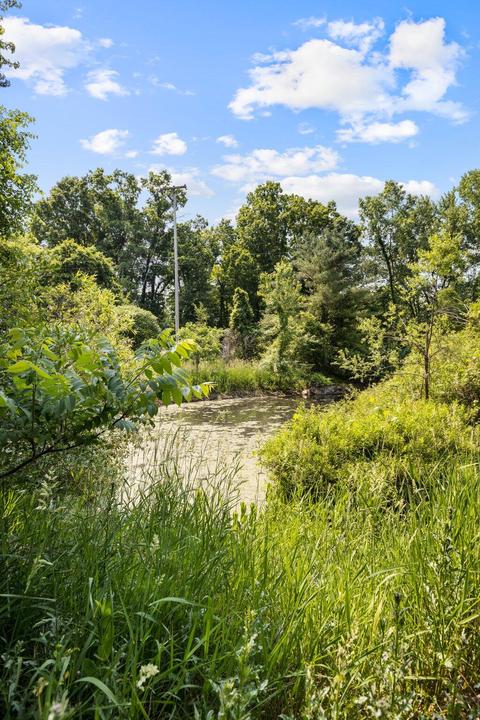 9120 Gordon Rd, Parma, MI 49269 photo 28