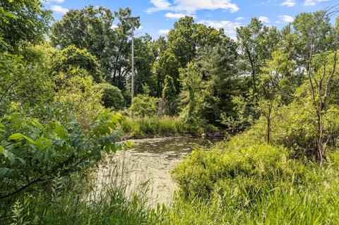 9120 Gordon Rd, Parma, MI 49269 photo 27