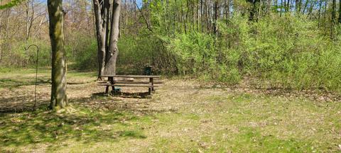 2521 E Wolf Rd, Hart, MI 49420 photo 40