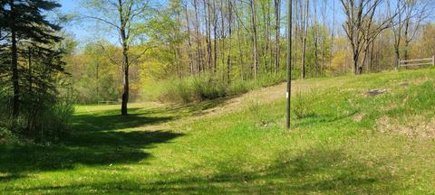 2521 E Wolf Rd, Hart, MI 49420 photo 41