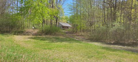 2521 E Wolf Rd, Hart, MI 49420 photo 5