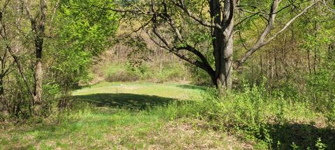 2521 E Wolf Rd, Hart, MI 49420 photo 34