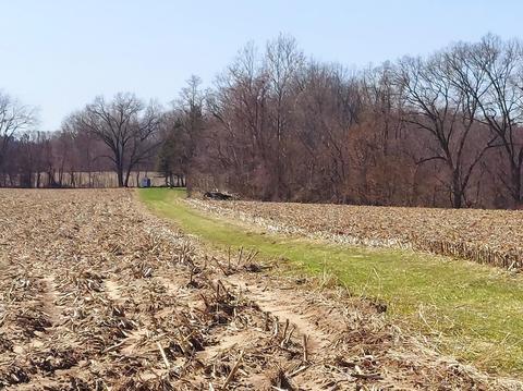 132 Acres 29th St, Gobles, MI 49055