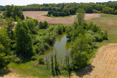 22 Mile Rd, Evart, MI 49631