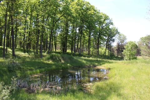 Vl Vanwagoner Rd, Curran, MI 48728