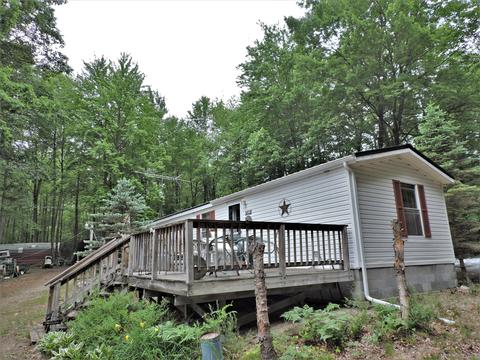 9518 21 Mile Rd, Evart, MI 49631