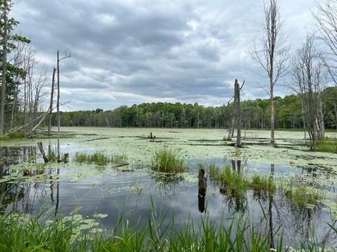 V/l 140th Avenue, Stanwood, MI 49346