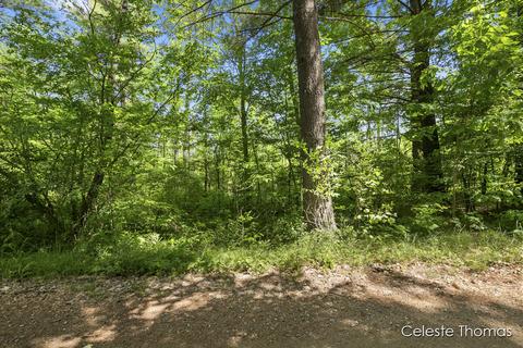 2282 Dick Rd, Fenwick, MI 48834 photo 9