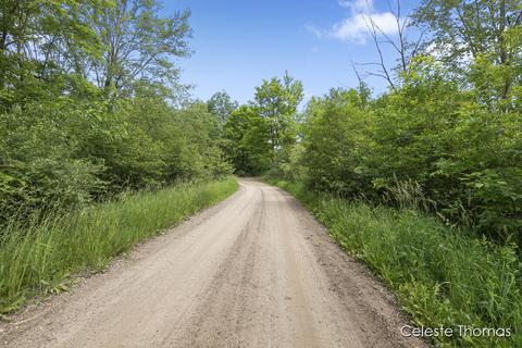 2282 Dick Rd, Fenwick, MI 48834 photo 4