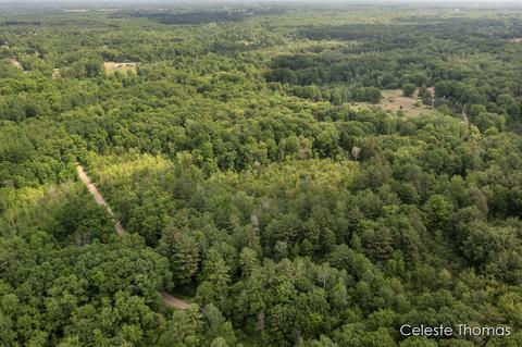 2282 Dick Rd, Fenwick, MI 48834