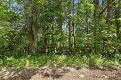 2282 Dick Rd, Fenwick, MI 48834 photo 7