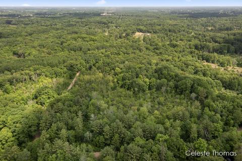 2282 Dick Rd, Fenwick, MI 48834 photo 8