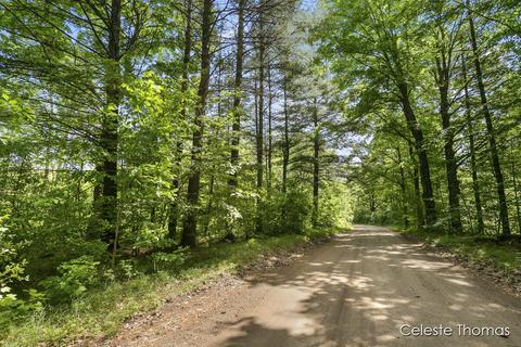 2282 Dick Rd, Fenwick, MI 48834 photo 2