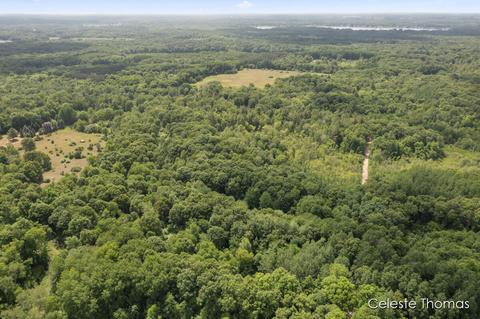 2282 Dick Rd, Fenwick, MI 48834 photo 13