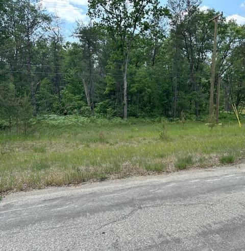 S Yale Avenue, Baldwin, MI 49304