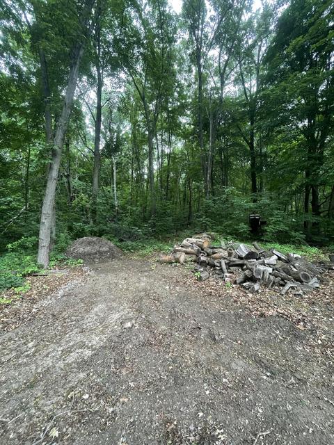 11380 M-60, Three Rivers, MI 49093 photo 22