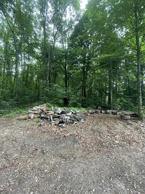 11380 M-60, Three Rivers, MI 49093 photo 23