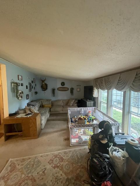 11380 M-60, Three Rivers, MI 49093 photo 8