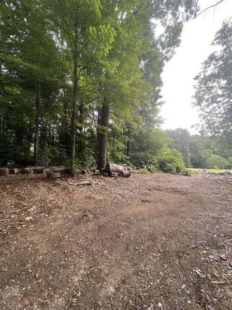 11380 M-60, Three Rivers, MI 49093 photo 24