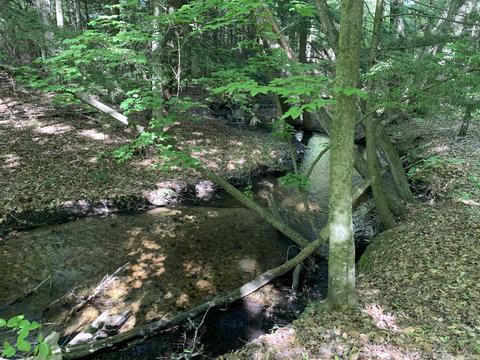 Vl E Wilke Road, Rothbury, MI 49452