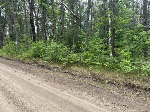 Maloy Avenue, Baldwin, MI 49304 photo 5