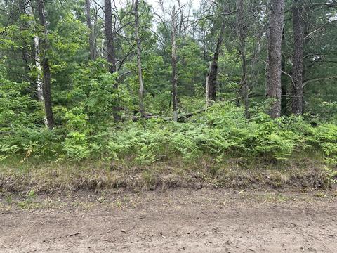 Maloy Avenue, Baldwin, MI 49304 photo 6
