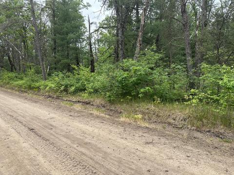 Maloy Avenue, Baldwin, MI 49304