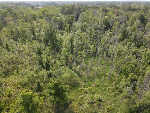1347 M-30, Gladwin, MI 48624 photo 29