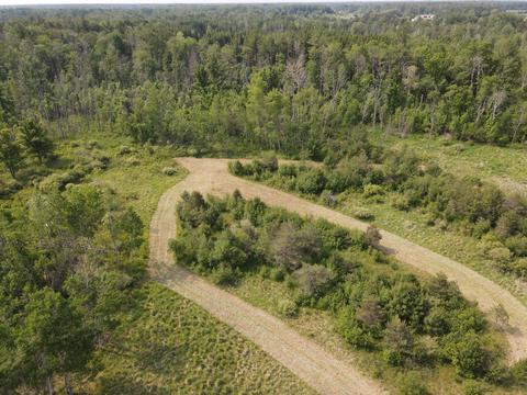1347 M-30, Gladwin, MI 48624 photo 28