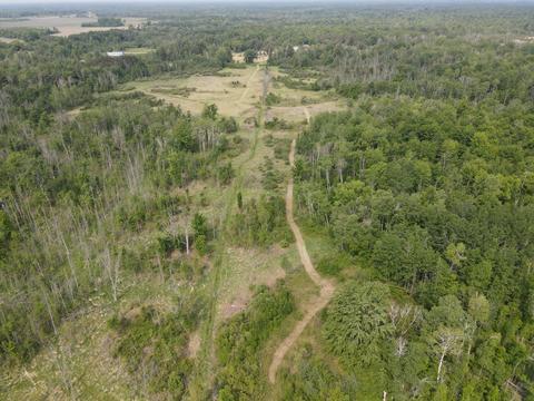 1347 M-30, Gladwin, MI 48624 photo 25