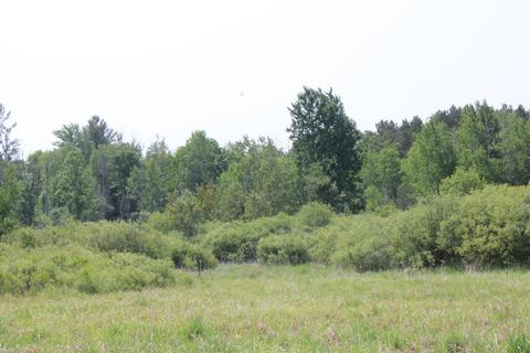 1347 M-30, Gladwin, MI 48624 photo 19