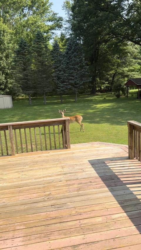 8301 East Rd, Three Oaks, MI 49128 photo 33