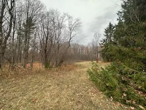 8184 Red Pine Dr NE, Mancelona, MI 49659