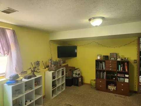 9547 State Rd, Jackson, MI 49201 photo 31