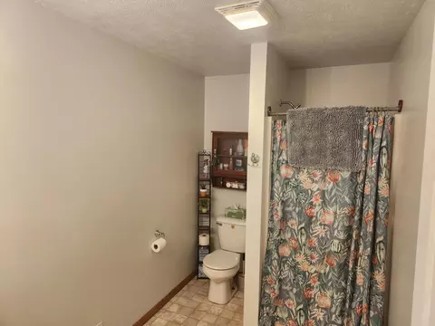 9547 State Rd, Jackson, MI 49201 photo 34